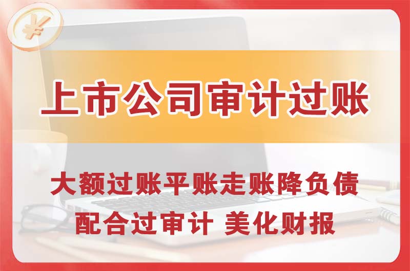 琼海上市公司审计过账